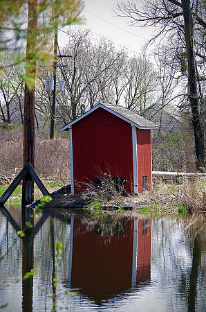 Week 5: "Reflections"