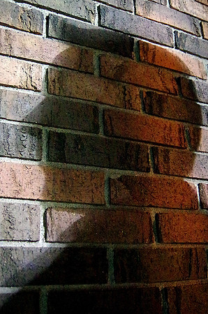 Week 26: "Shadow"
